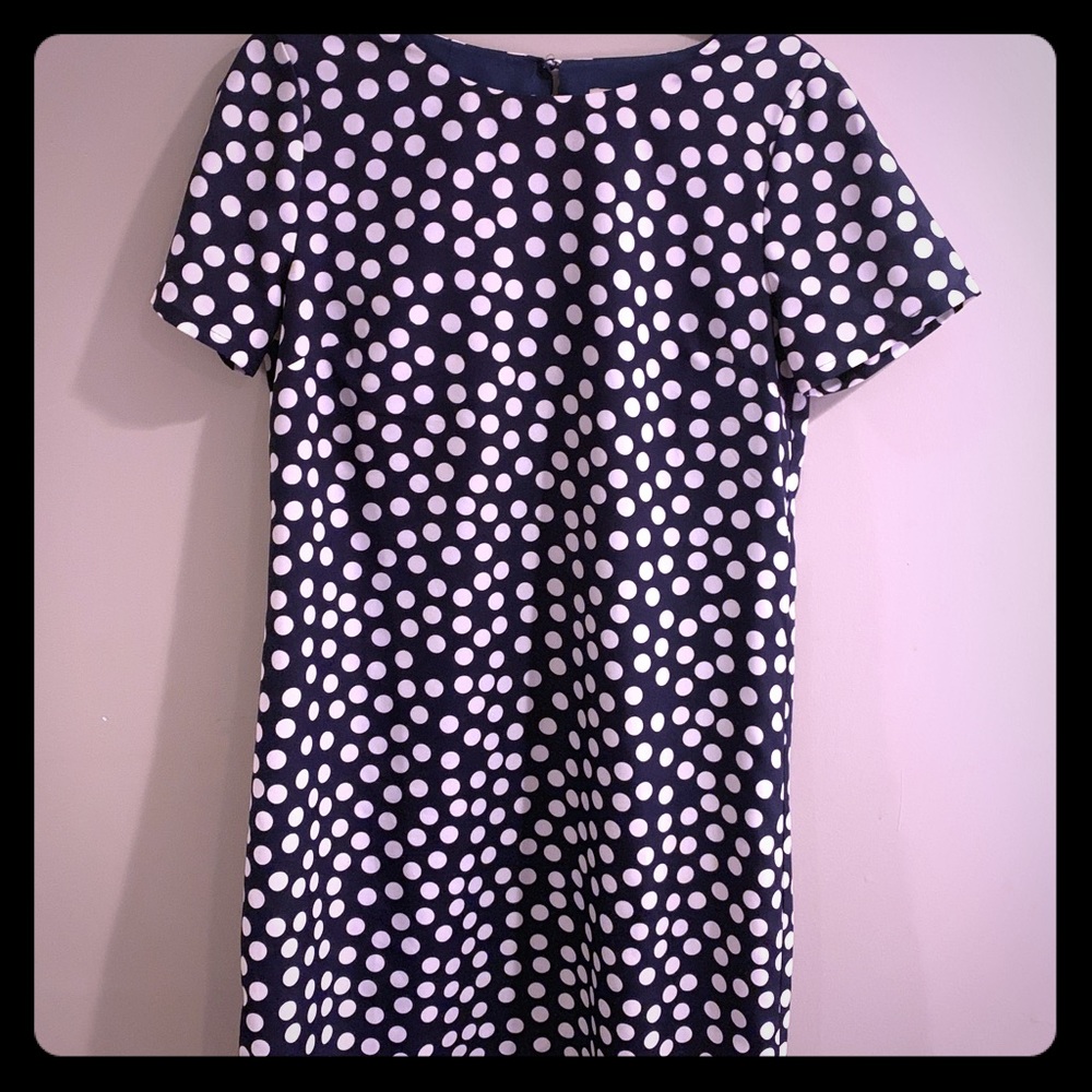 JCrew polka dot dress